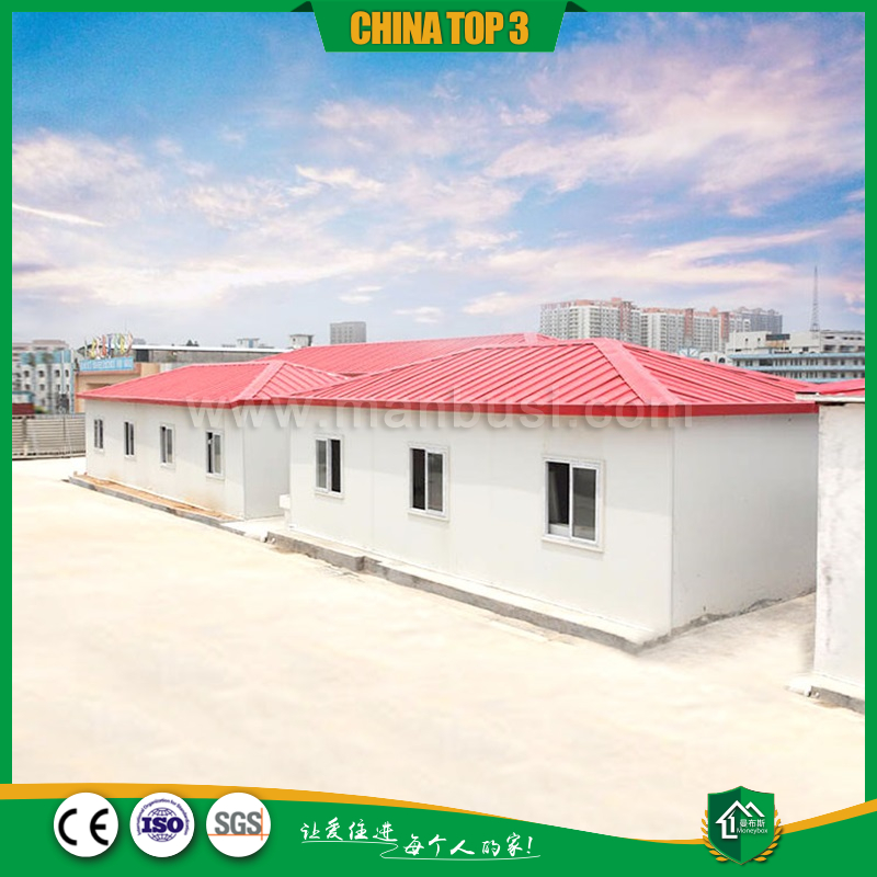 单层豪华四坡T房1