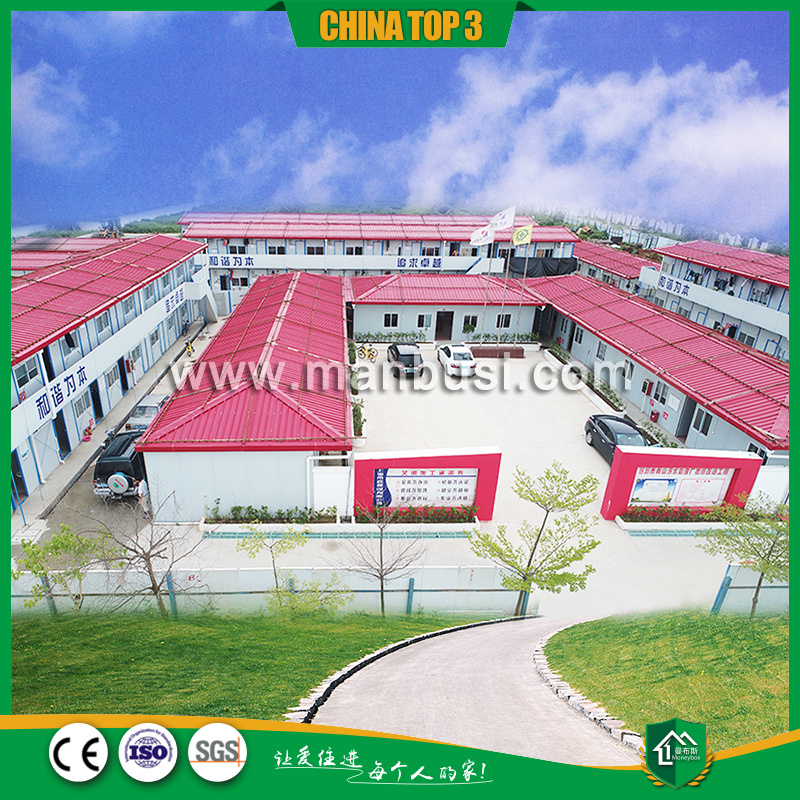 单层豪华四坡T房1